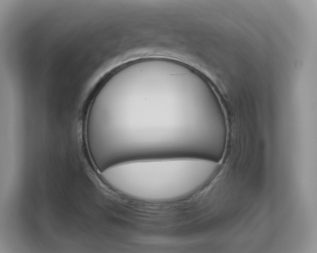 X0000112901503200908211040