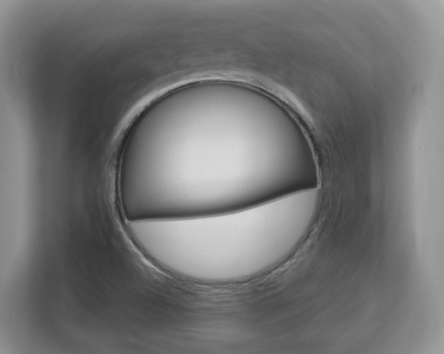 X0000112901504200908211040