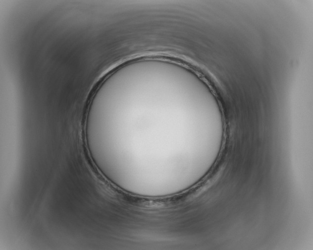 X0000112901505200908211040