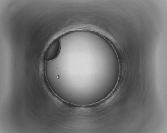 X0000112901506200908211040