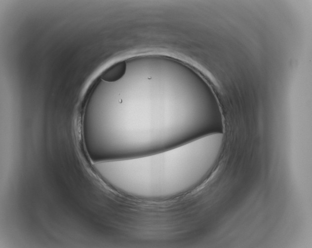 X0000112901510200908211040