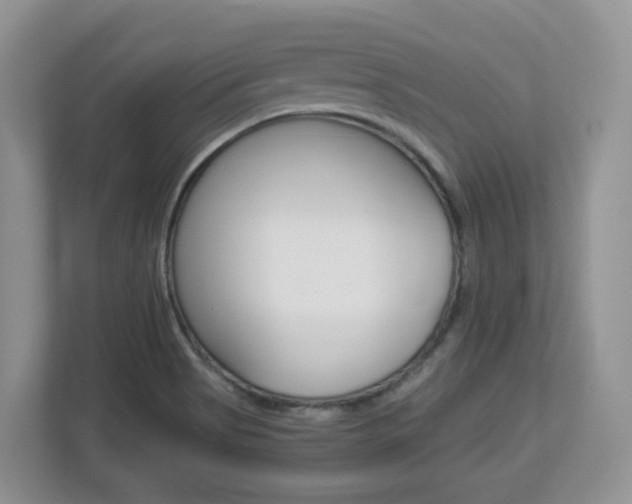 X0000112901513200908211040