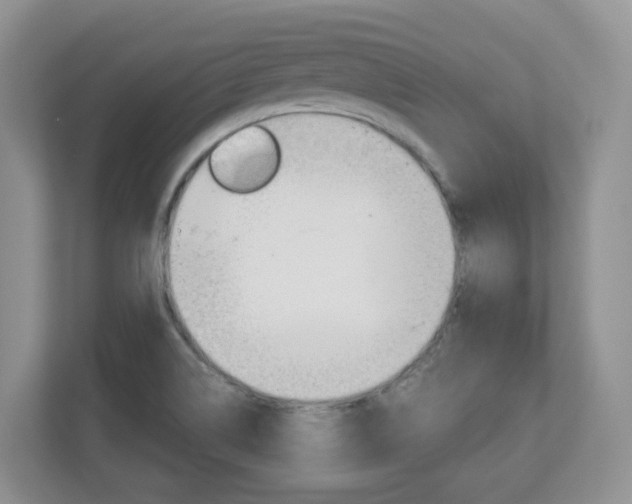 X0000112901514200908211040