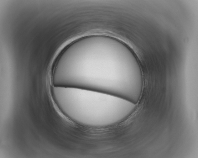 X0000112901515200908211040