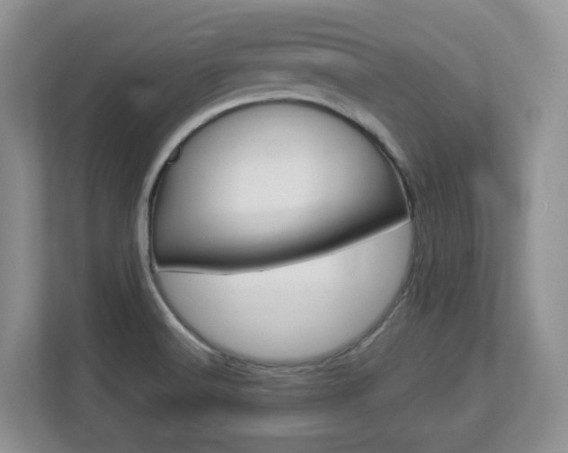 X0000112901516200908211040