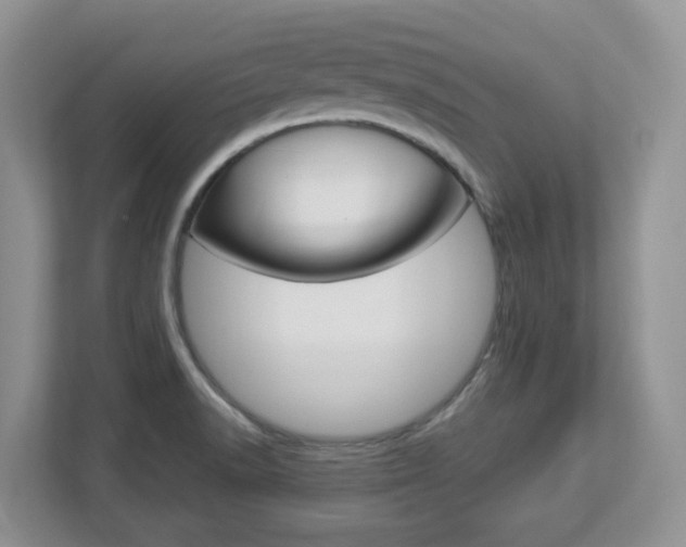 X0000112901518200908211040