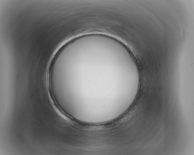 X0000112901519200908211040