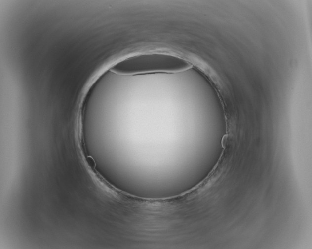 X0000112901520200908211040