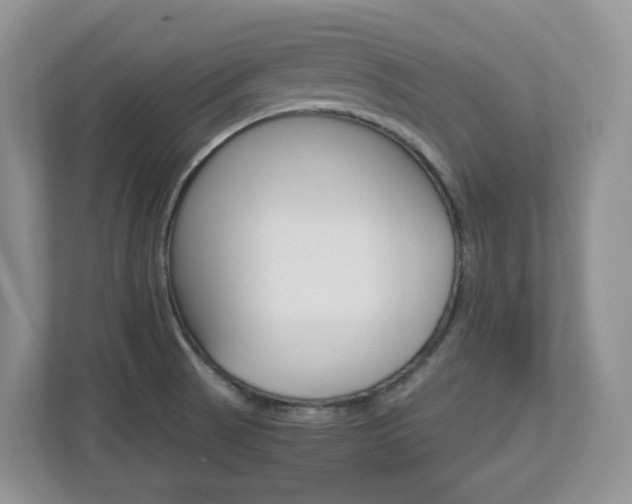 X0000112901521200908211040