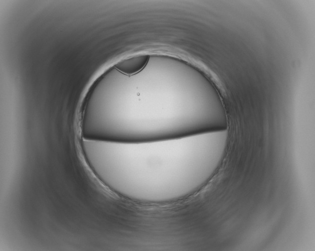 X0000112901522200908211040