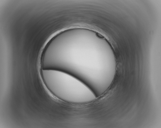 X0000112901523200908211040