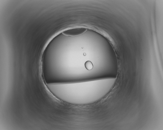 X0000112901524200908211040