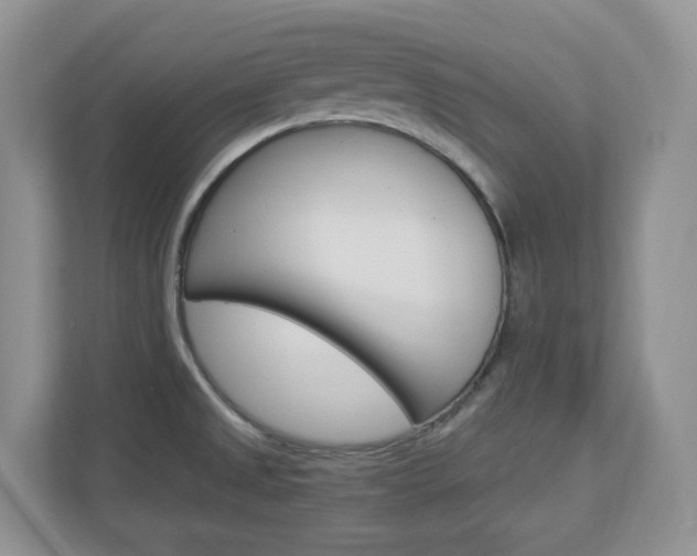 X0000112901525200908211040