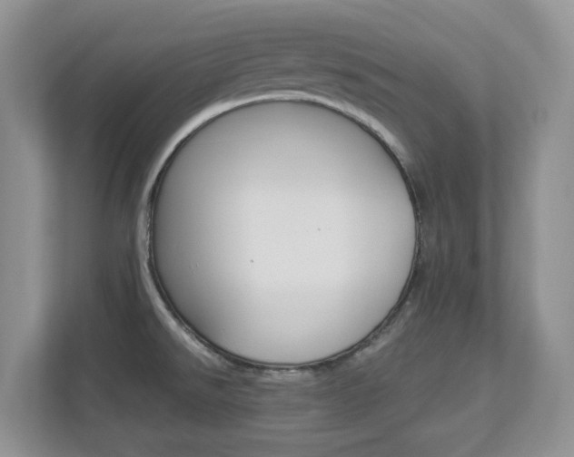 X0000112901526200908211040