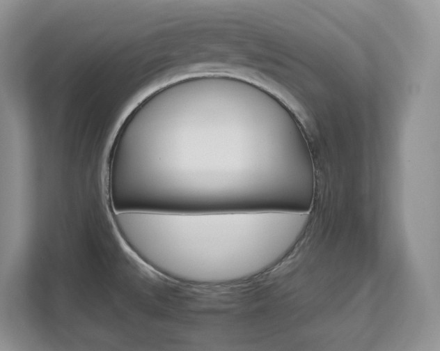 X0000112901527200908211040