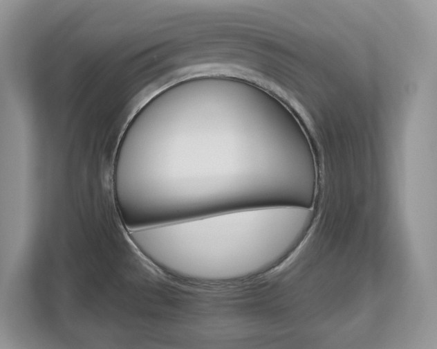 X0000112901529200908211040