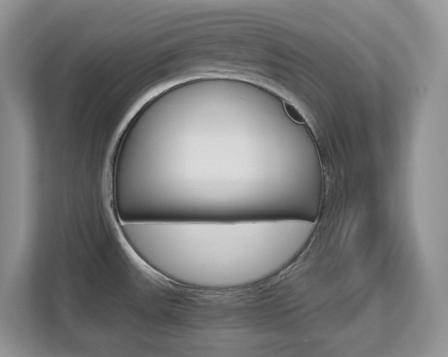 X0000112901531200908211040