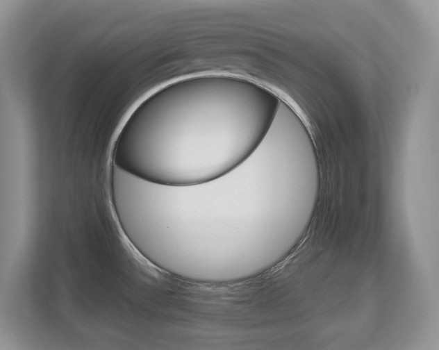X0000112901532200908211040