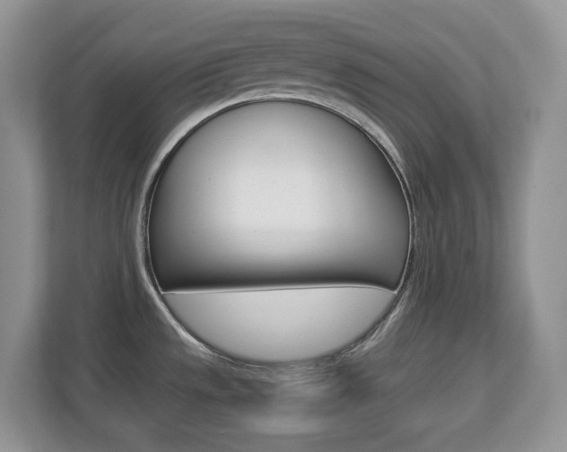 X0000112901533200908211040