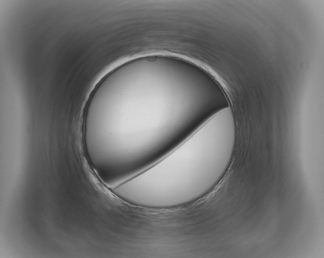 X0000112901534200908211040