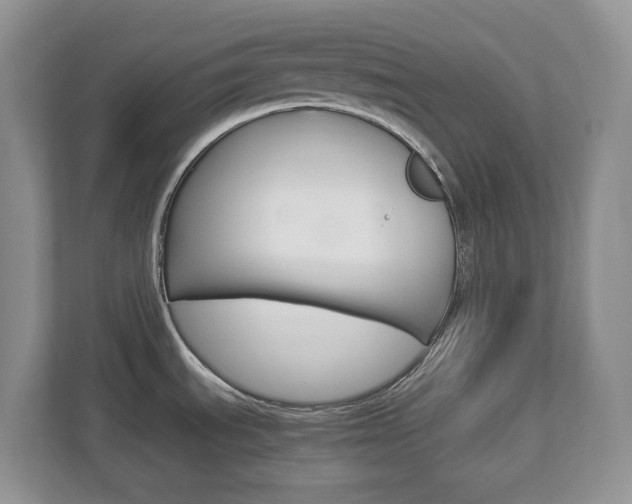 X0000112901535200908211040