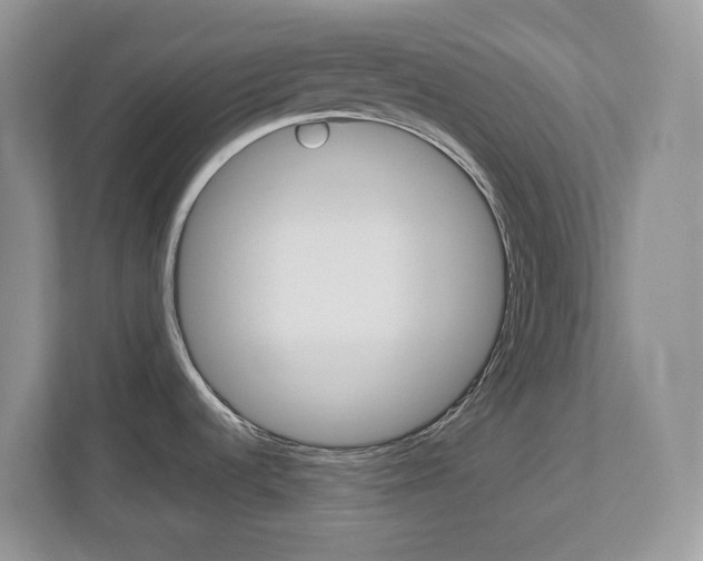 X0000112901536200908211040