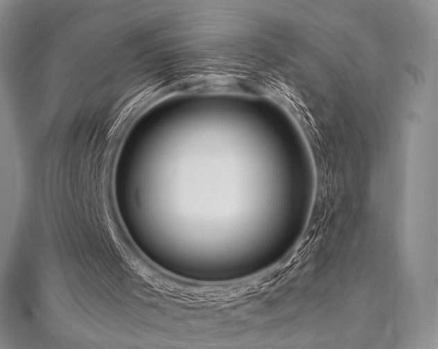 X0000112900001200908211527