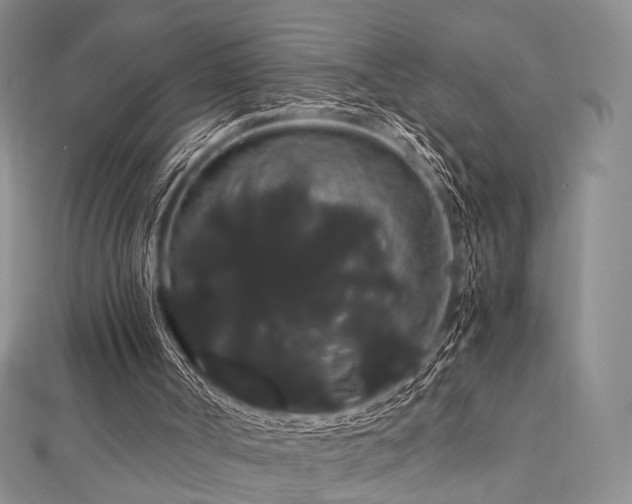 X0000112900002200908211527