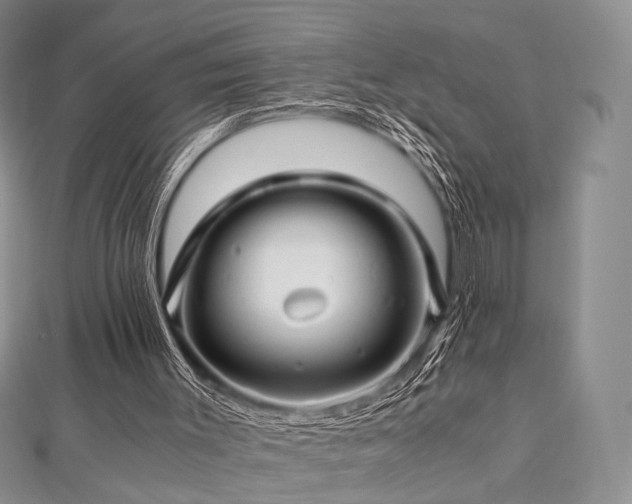 X0000112900003200908211527