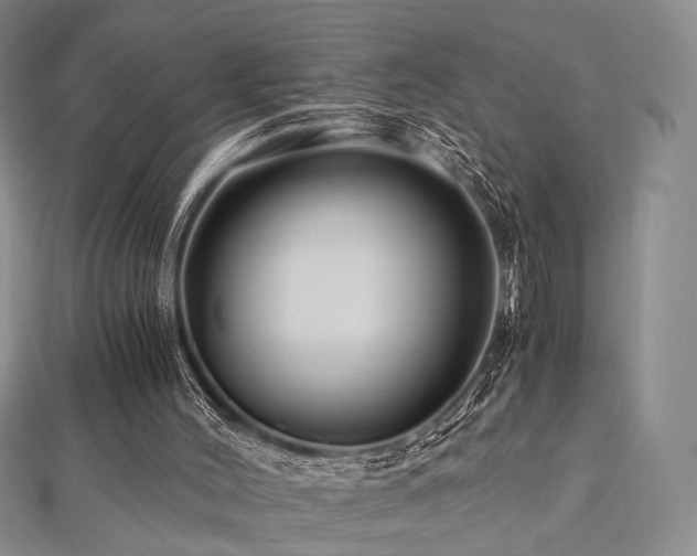 X0000112900004200908211527