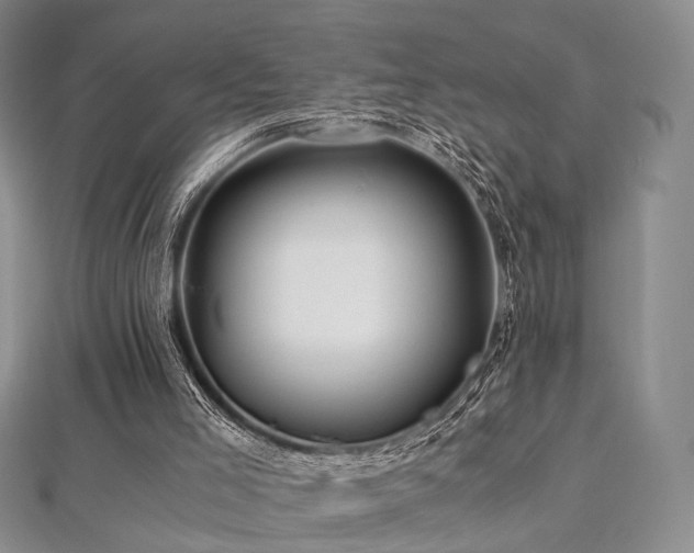 X0000112900005200908211527