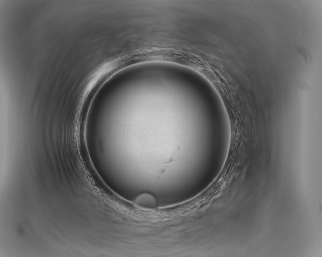 X0000112900006200908211527