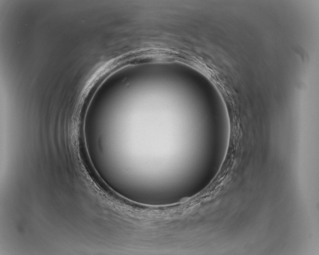 X0000112900007200908211527