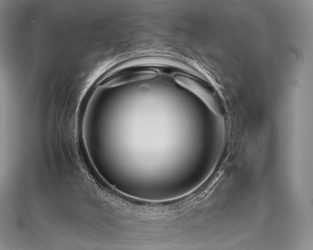 X0000112900008200908211527