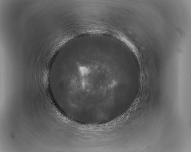 X0000112900009200908211527