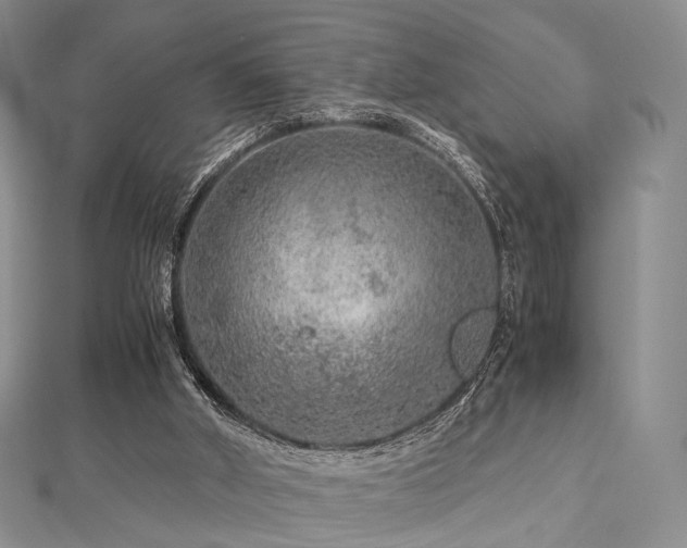 X0000112900010200908211527