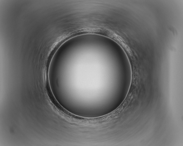 X0000112900011200908211527