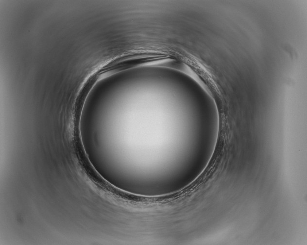 X0000112900012200908211527