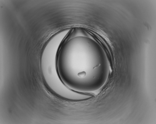 X0000112900013200908211527