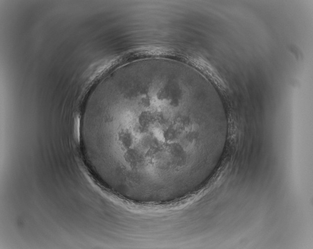 X0000112900014200908211527