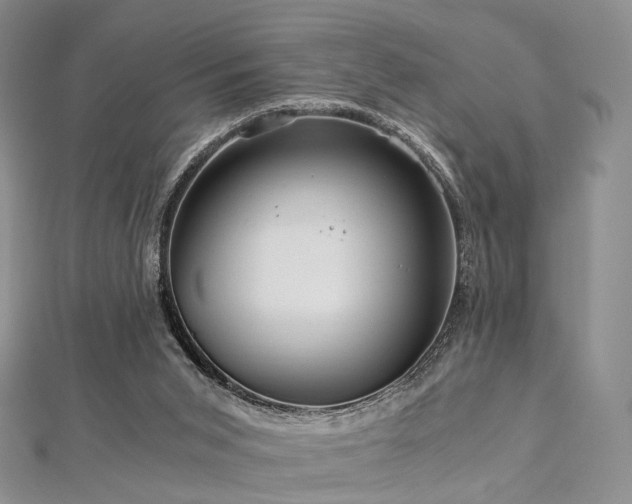 X0000112900015200908211527