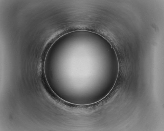 X0000112900016200908211527