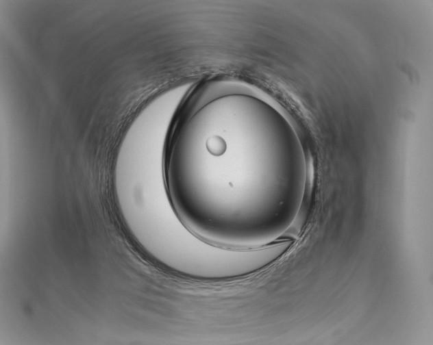 X0000112900017200908211527