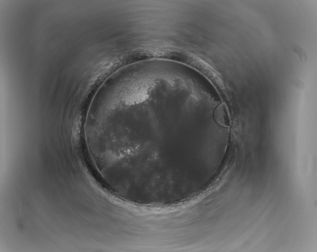 X0000112900018200908211527