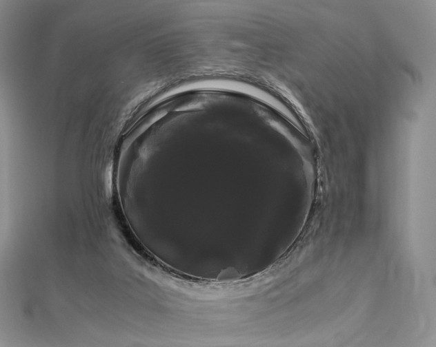 X0000112900019200908211527