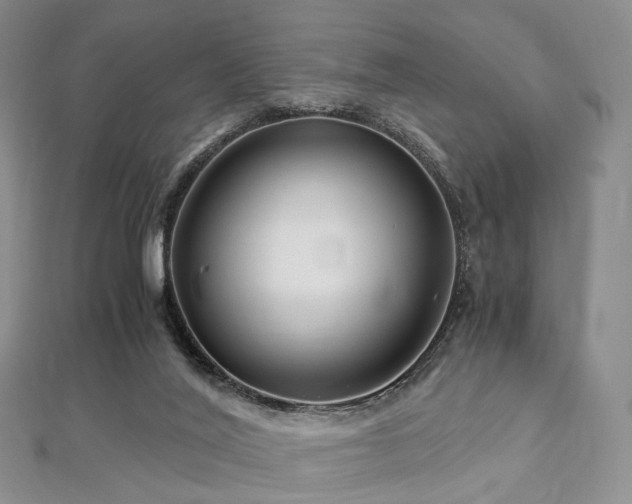 X0000112900020200908211527