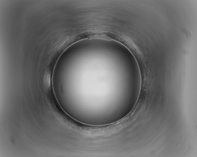 X0000112900021200908211527