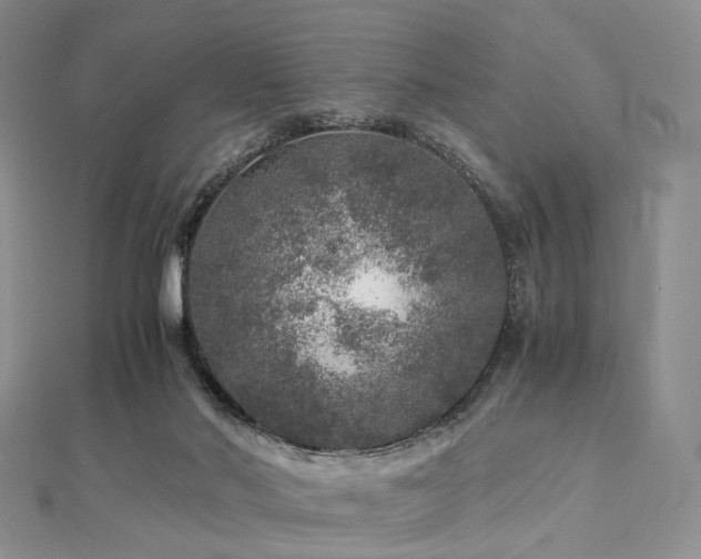 X0000112900022200908211527