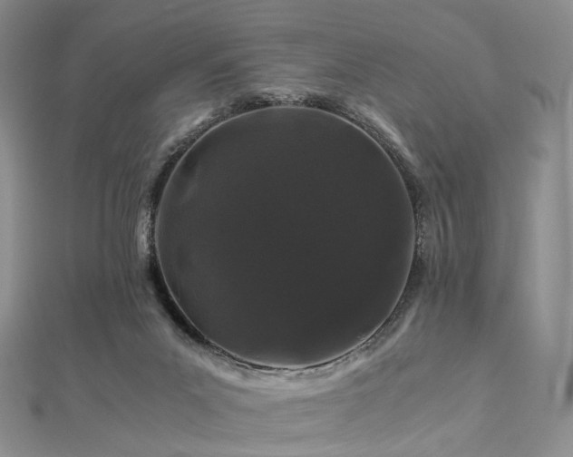 X0000112900023200908211527