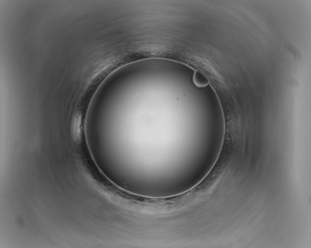 X0000112900024200908211527